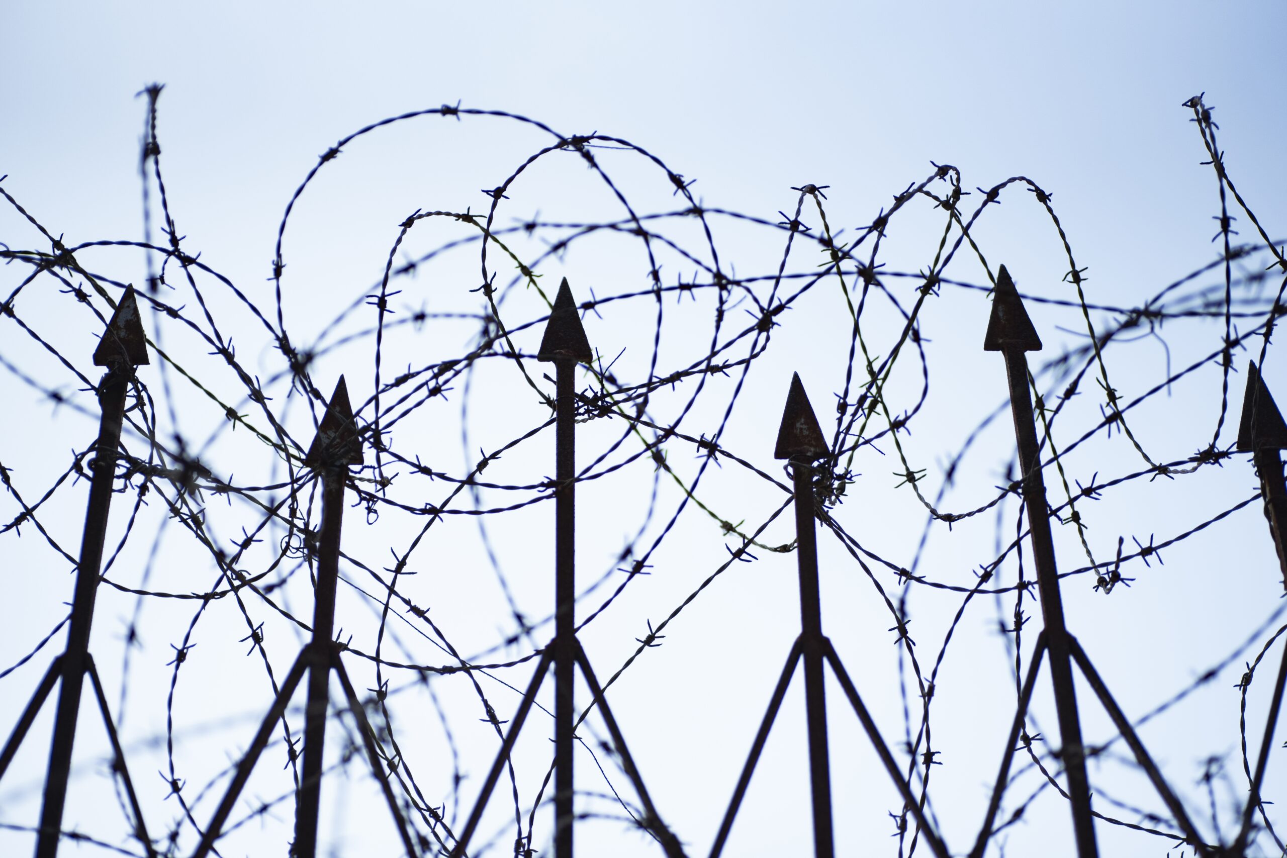 low angle shot barbed wire fence clear blue sky scaled